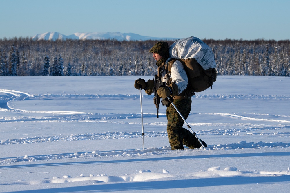 2d Reconnaissance Battalion Marines conduct cold weather training in Alaska