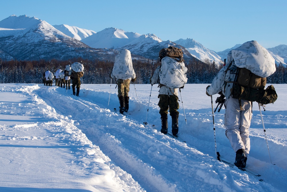 2d Reconnaissance Battalion Marines conduct cold weather training in Alaska