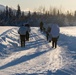 2d Reconnaissance Battalion Marines conduct cold weather training in Alaska