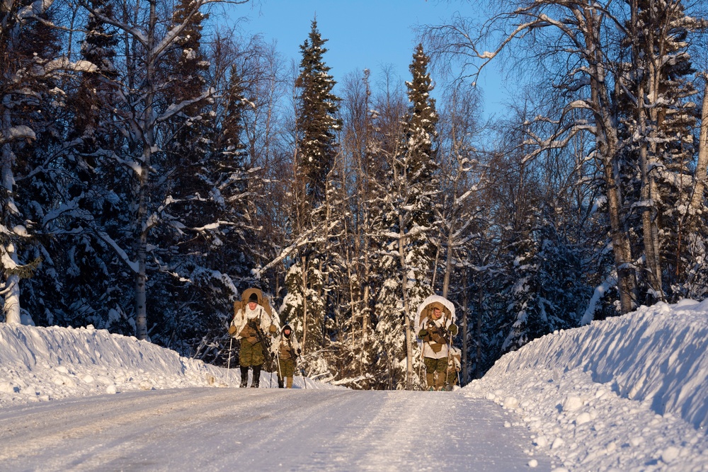 2d Reconnaissance Battalion Marines conduct cold weather training in Alaska