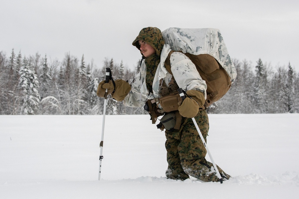 2d Reconnaissance Battalion Marines conduct cold weather training in Alaska