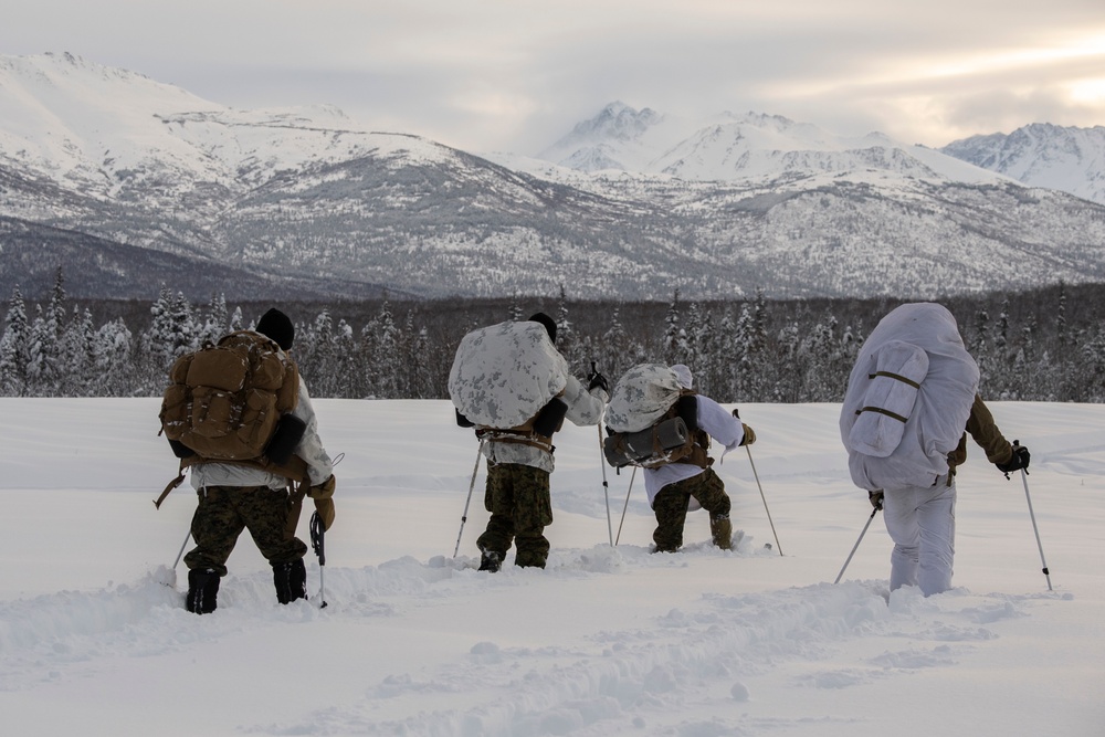 2d Reconnaissance Battalion Marines conduct cold weather training in Alaska