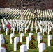 2022 Wreaths Across America Day at Arlington National Cemetery