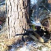 C/1-502 IN CAMLFX Live Fire