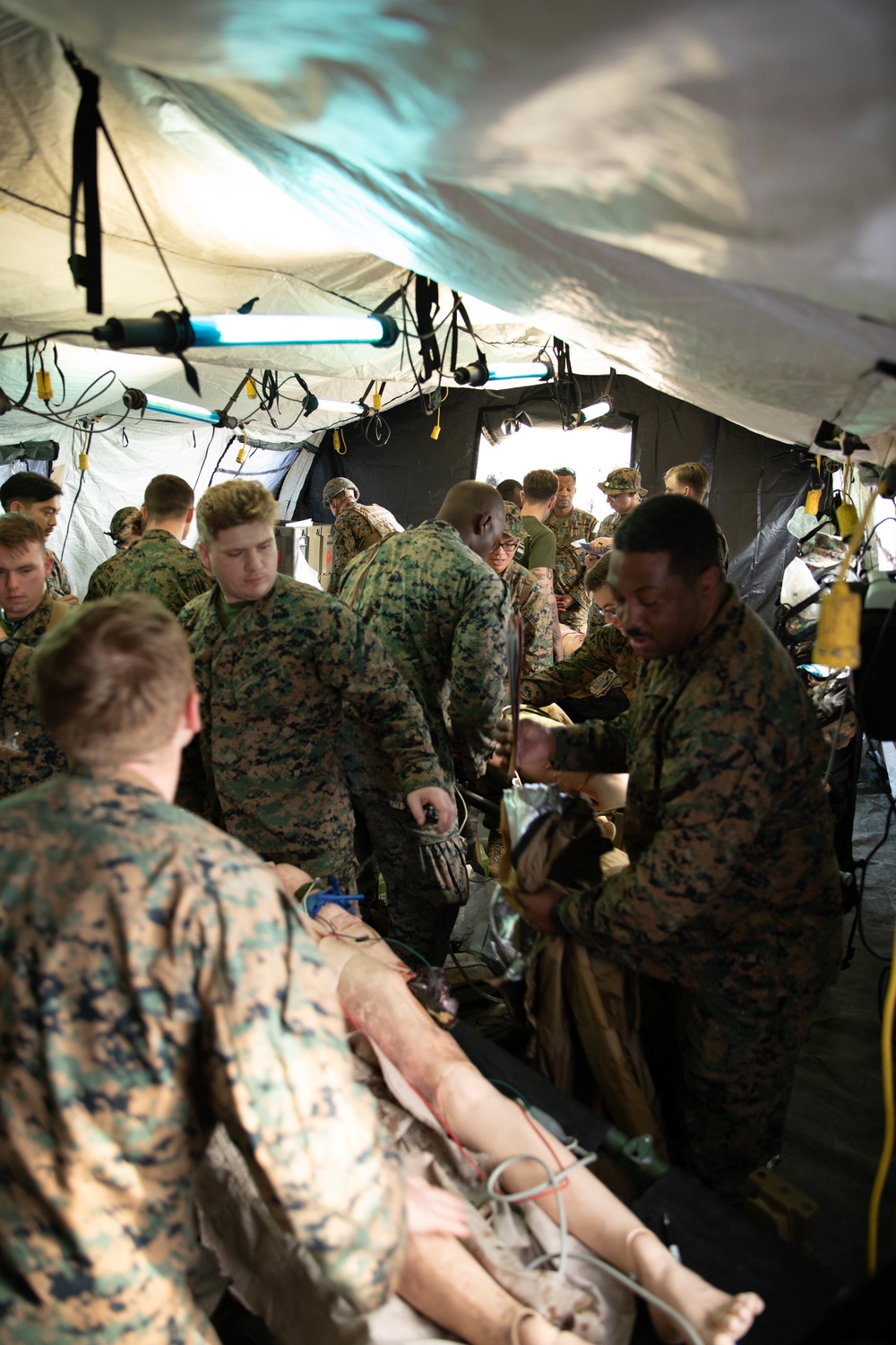 3rd Medical Battalion Conducts Field Medical Training Exercise