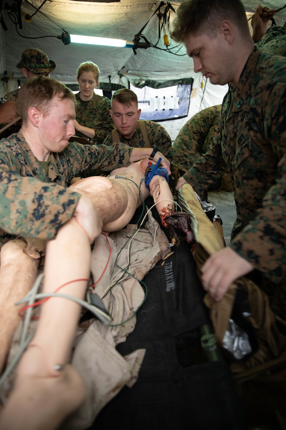 3rd Medical Battalion Conducts Field Medical Training Exercise