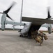 26th MEU Marines Simulate Forward Command Element Establishment