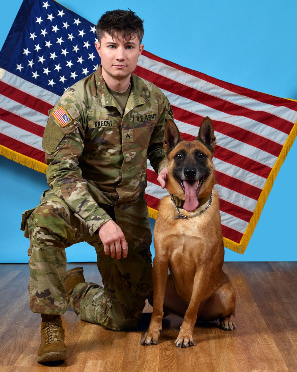 Military Working Dog