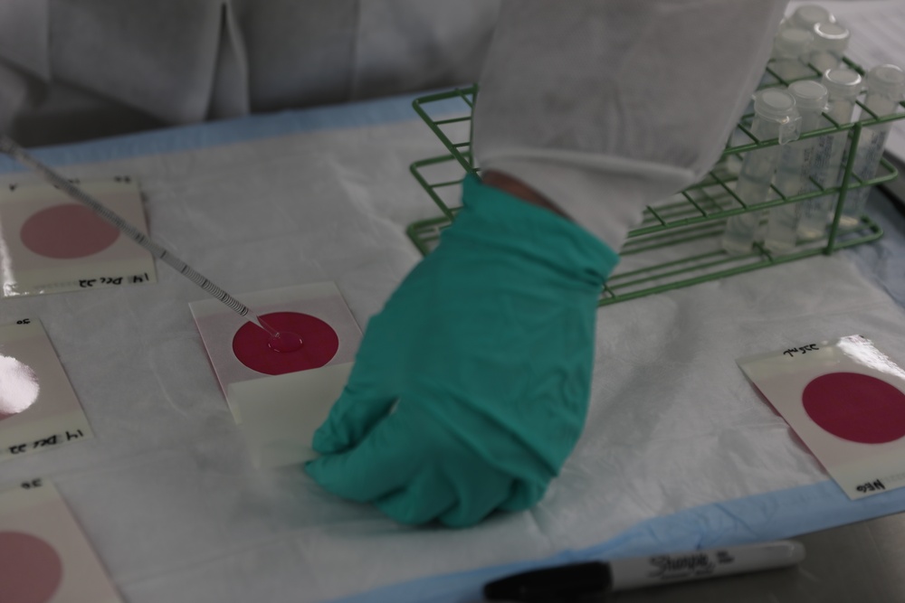 64th Medical Detachment Veterinary Support Services Conducts Laboratory Exercise