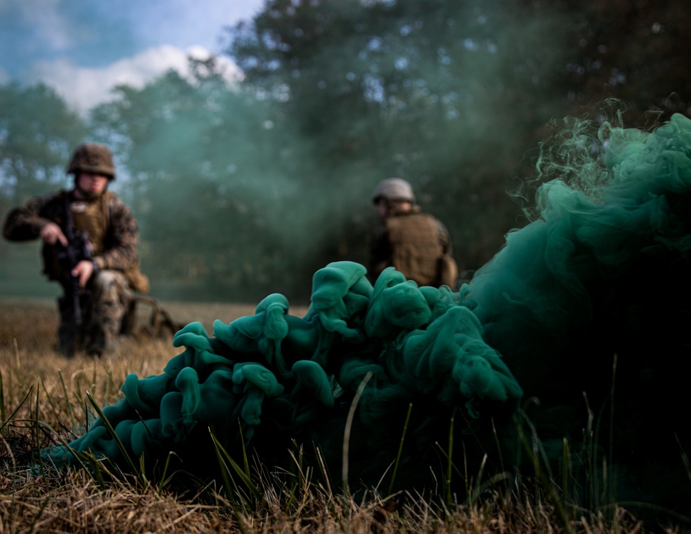 Marines with Guard Company, Marine Barracks Washington, amplify their infantry training expertise at Marine Corps Base Quantico, Va.