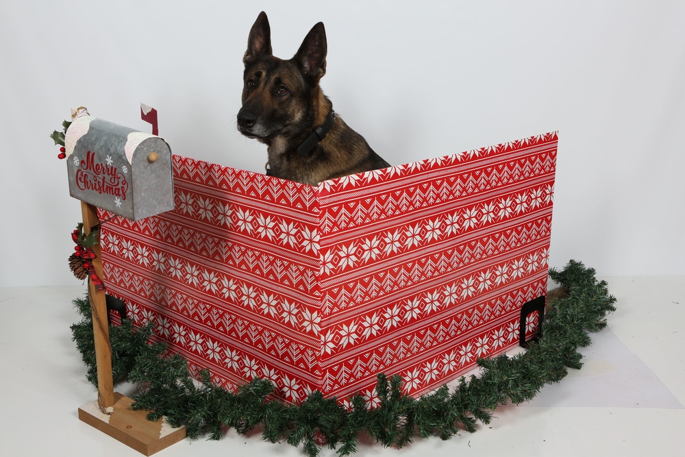 Happy Holidays from the MCIEAST-MCB Camp Lejeune Military Working Dogs