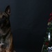 Happy Holidays from the MCIEAST-MCB Camp Lejeune Military Working Dogs