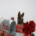 Happy Holidays from the MCIEAST-MCB Camp Lejeune Military Working Dogs