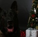 Happy Holidays from the MCIEAST-MCB Camp Lejeune Military Working Dogs