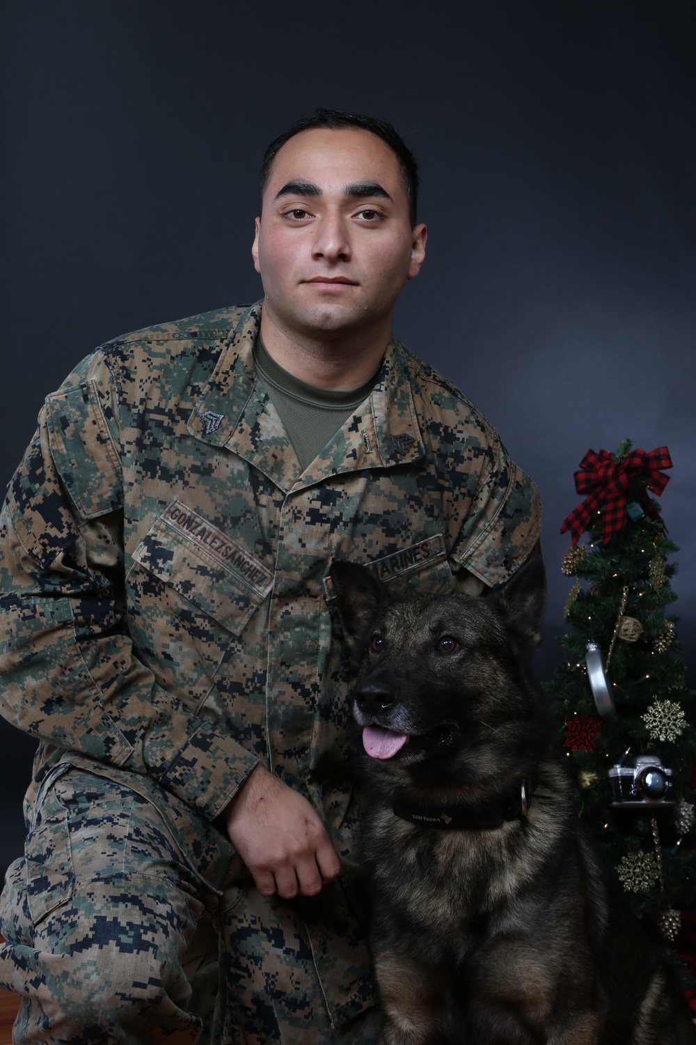 Happy Holidays from the MCIEAST-MCB Camp Lejeune Military Working Dogs