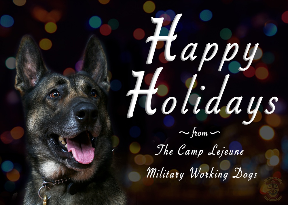 Happy Holidays from the MCIEAST-MCB Camp Lejeune Military Working Dogs