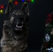 Happy Holidays from the MCIEAST-MCB Camp Lejeune Military Working Dogs