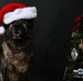 Happy Holidays from the MCIEAST-MCB Camp Lejeune Military Working Dogs