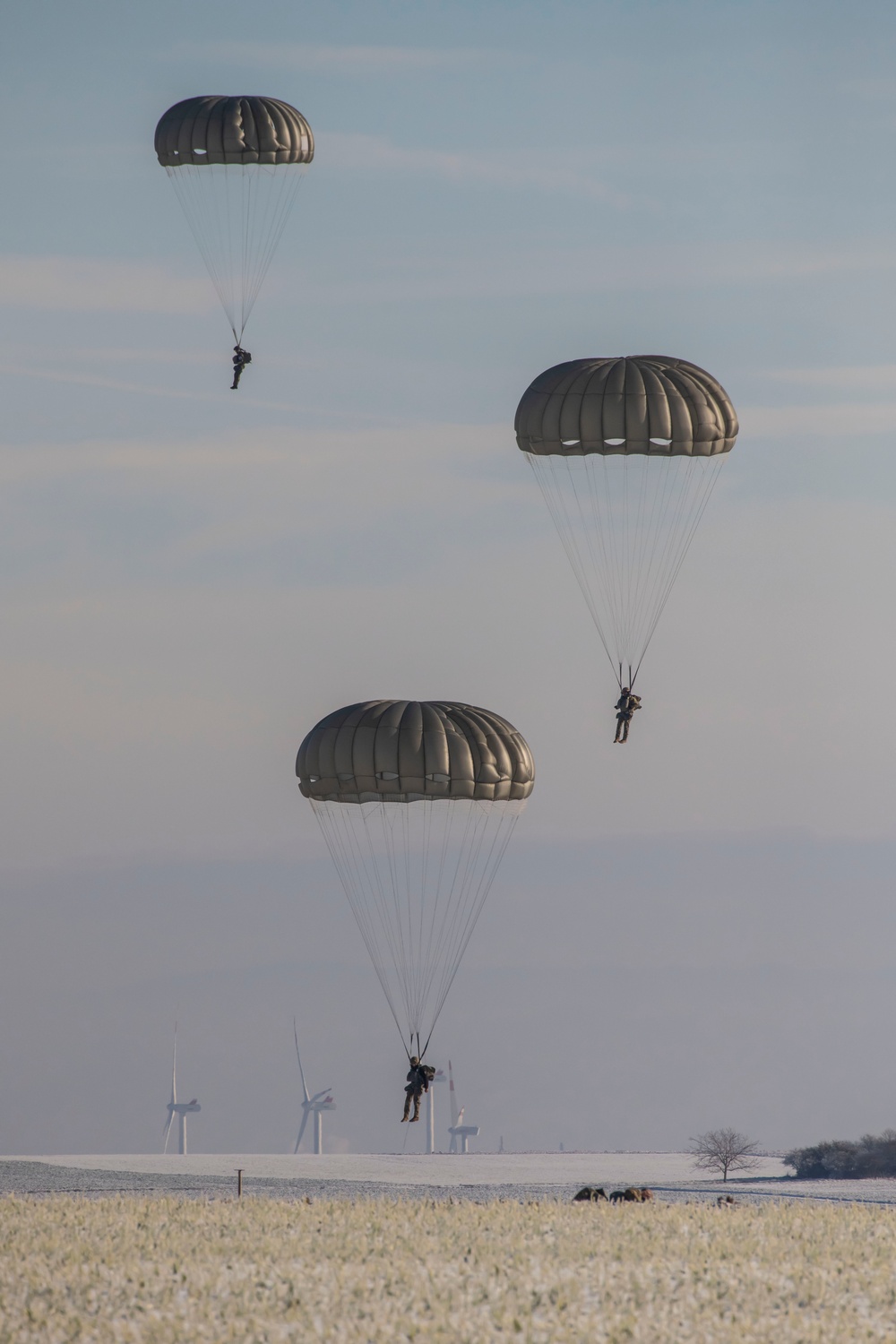 Paratroopers at the Alzey Drop Zone