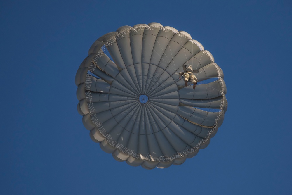 Paratrooper at the Alzey Drop Zone