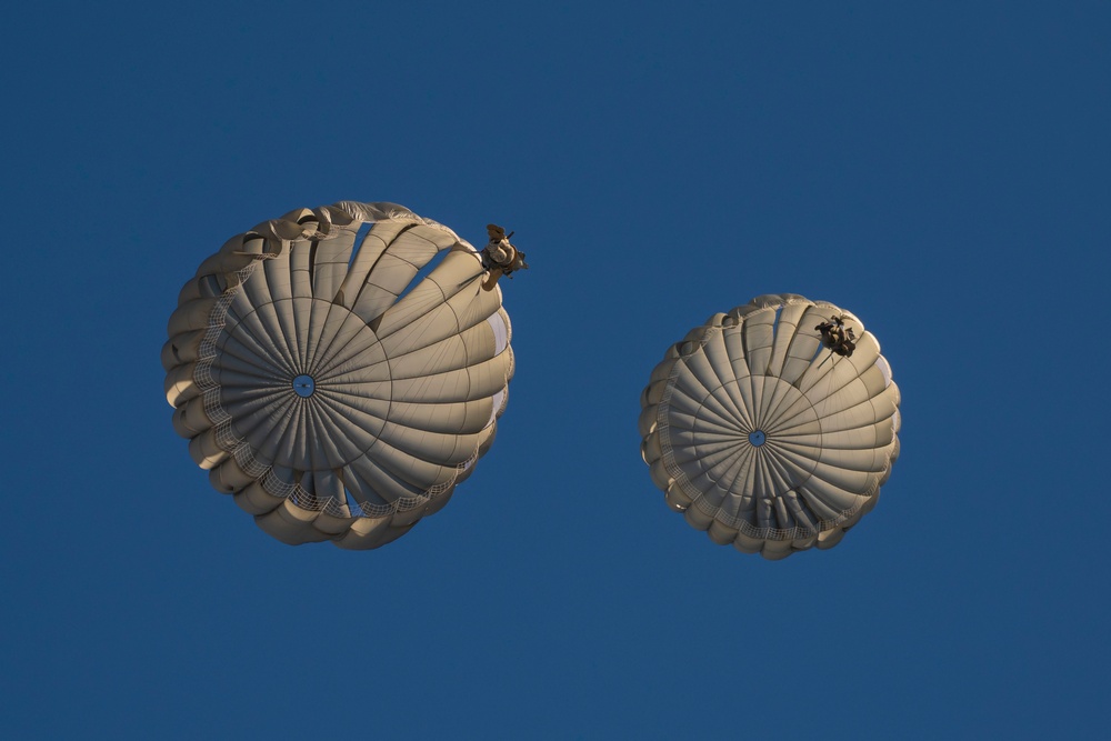 Paratroopers at the Alzey Drop Zone