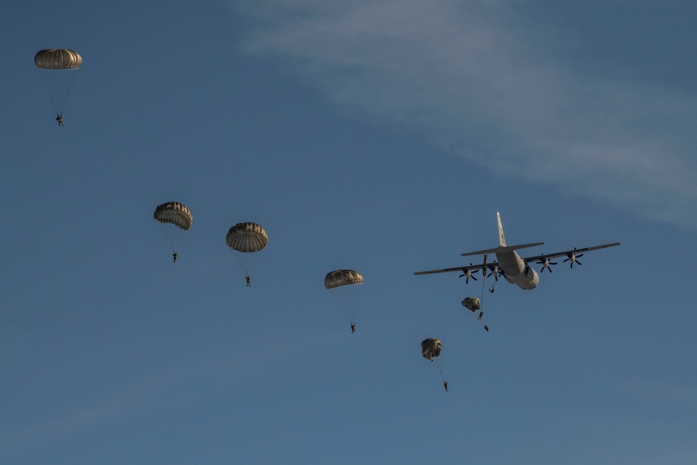 Paratroopers at the Alzey Drop Zone