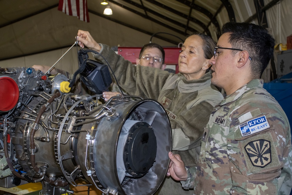 Arizona TAG visits deployed 149th Av. Reg. Soldiers.