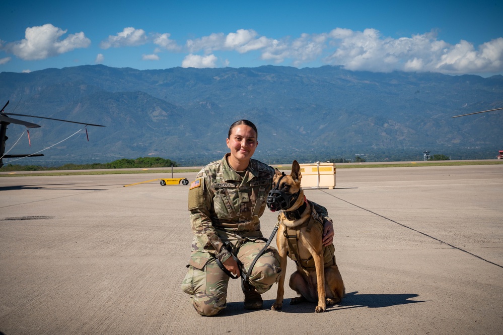 Military Working Dogs