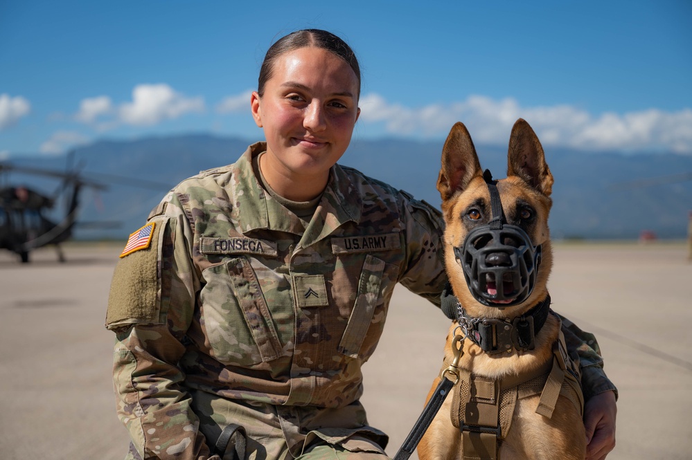 Military Working Dogs