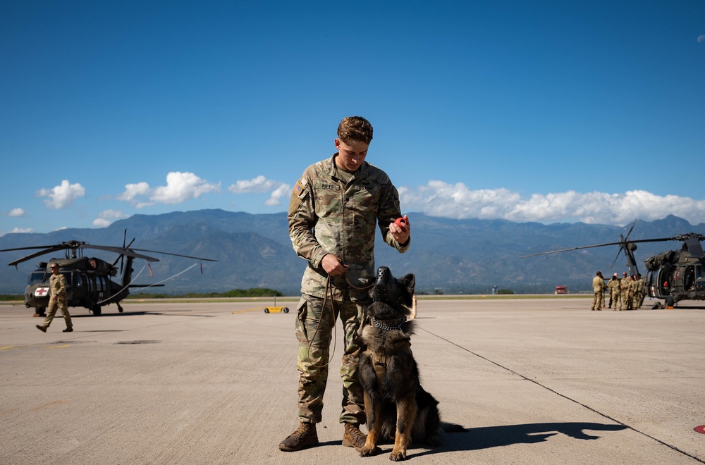 Military Working Dogs