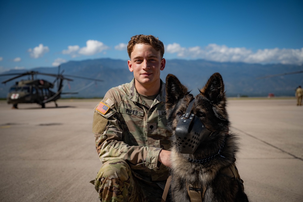 Military Working Dogs