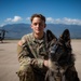 Military Working Dogs