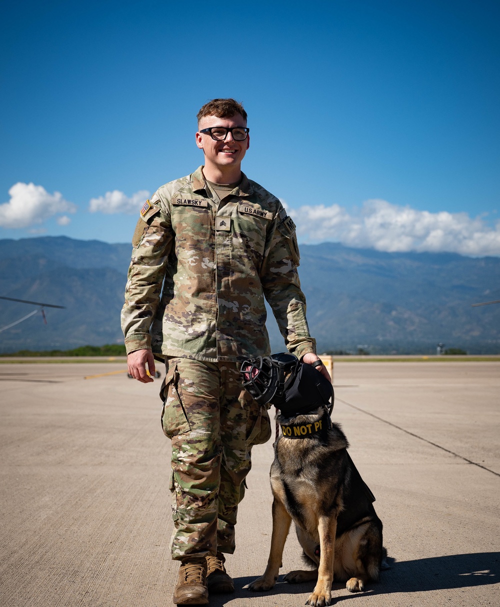 Military Working Dogs