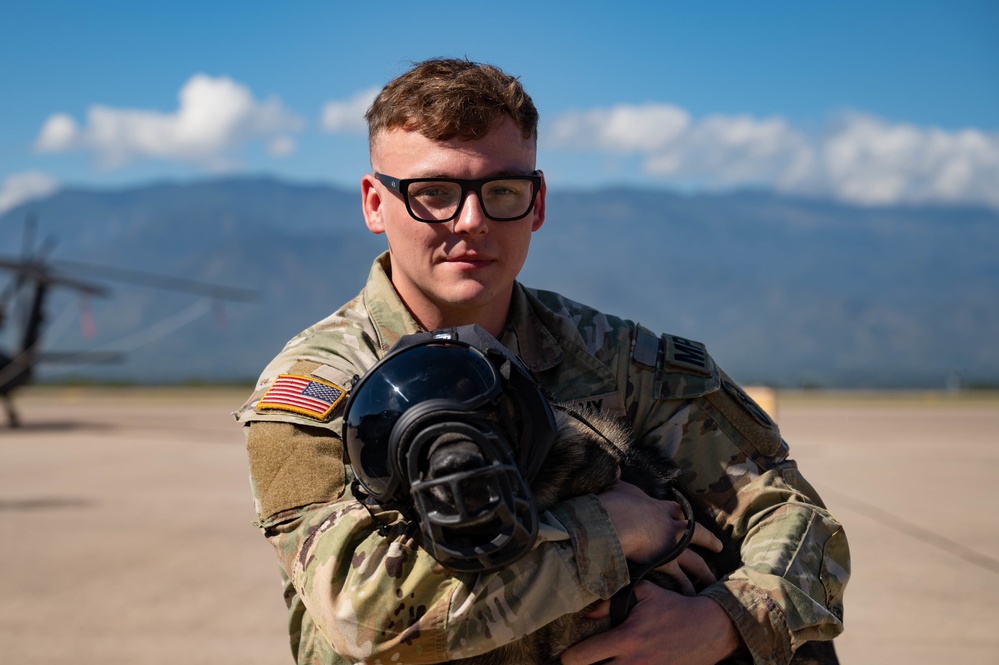 Military Working Dogs