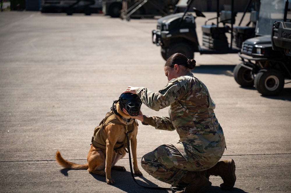 Military Working Dogs