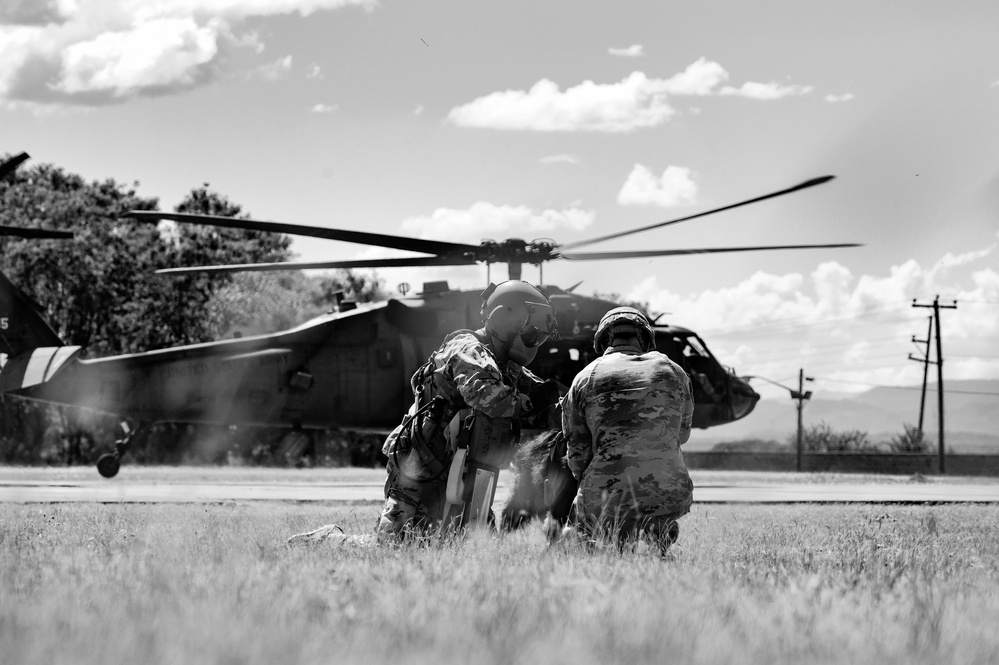 Medevac Hoist Training