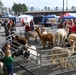 Arnold AFB celebrates the season with Family Holiday Bazaar