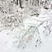 December 2022 snow scenes in Fort McCoy's Pine View Recreation Area