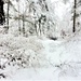 December 2022 snow scenes in Fort McCoy's Pine View Recreation Area