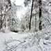 December 2022 snow scenes in Fort McCoy's Pine View Recreation Area