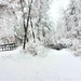 December 2022 snow scenes in Fort McCoy's Pine View Recreation Area