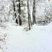 December 2022 snow scenes in Fort McCoy's Pine View Recreation Area