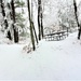 December 2022 snow scenes in Fort McCoy's Pine View Recreation Area