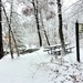 December 2022 snow scenes in Fort McCoy's Pine View Recreation Area