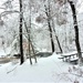 December 2022 snow scenes in Fort McCoy's Pine View Recreation Area