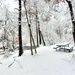 December 2022 snow scenes in Fort McCoy's Pine View Recreation Area