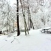 December 2022 snow scenes in Fort McCoy's Pine View Recreation Area