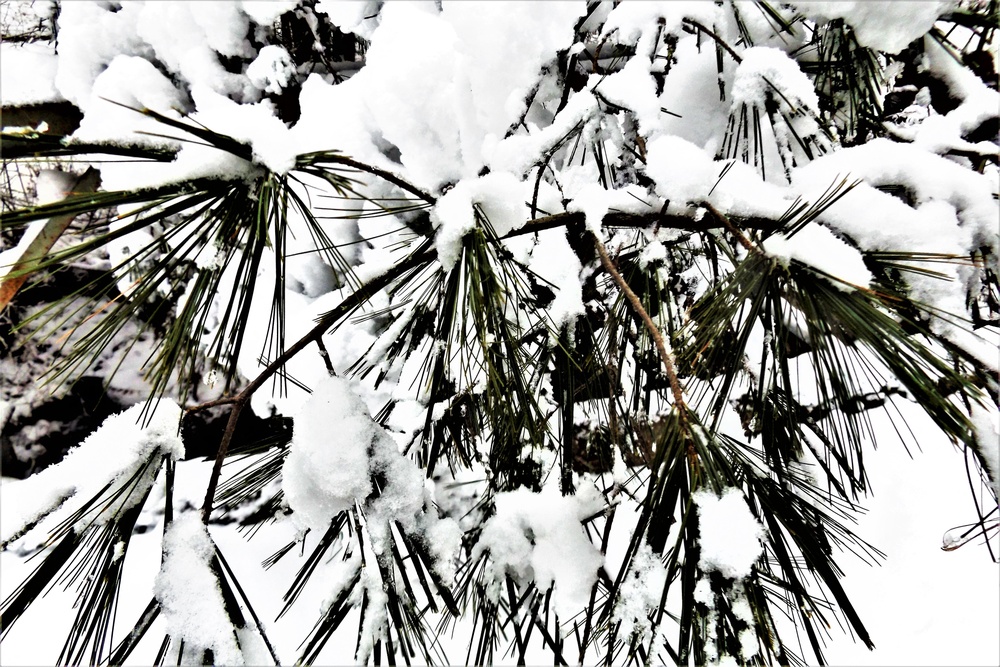 December 2022 snow scenes in Fort McCoy's Pine View Recreation Area