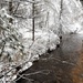 December 2022 snow scenes in Fort McCoy's Pine View Recreation Area