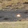 Army sustainers focus on grenade skills to increase lethality Army sustainers focus on grenade skills to increase lethality